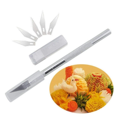 Picture of Wlxy Precision Pen Knife With 5 Interchangeable Sharp Blades-Silver