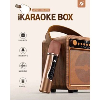 Picture of Professional KTS-1687 Vocal Singing Home KTV Rechargeable Wireless Wooden FM Radio Mic Karaoke Box-Gold