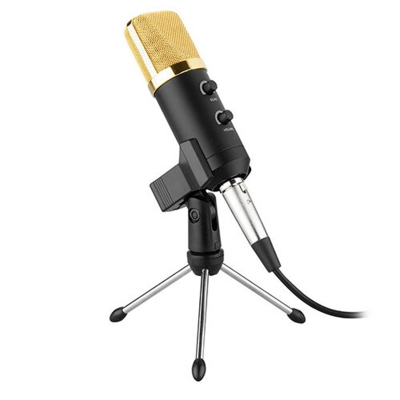 Picture of BM-100FX USB Powered Condenser Studio Recording Microphone with Noise Cancel and Echo Effect Plug & Play USB Microphone-Gold