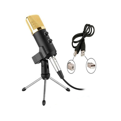 Picture of Bm 100 Fx  Usb Condenser Microphone For Studio Record Complete Package Condenser Microphone For Computer Laptop-Gold