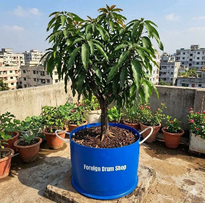 Picture of Foreign cut drum for planting tree on the roof (Mouth part). 120 Liter.