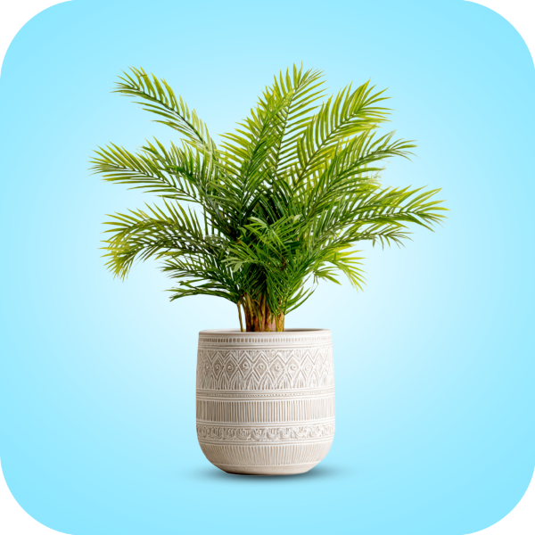 Picture for category Lawn & Gardening