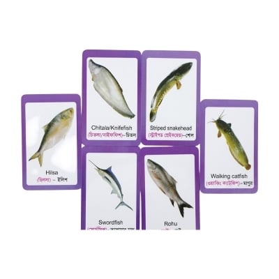 Picture of Fish Flash Card for Kids Early Learning 24 Cards Multicolor 