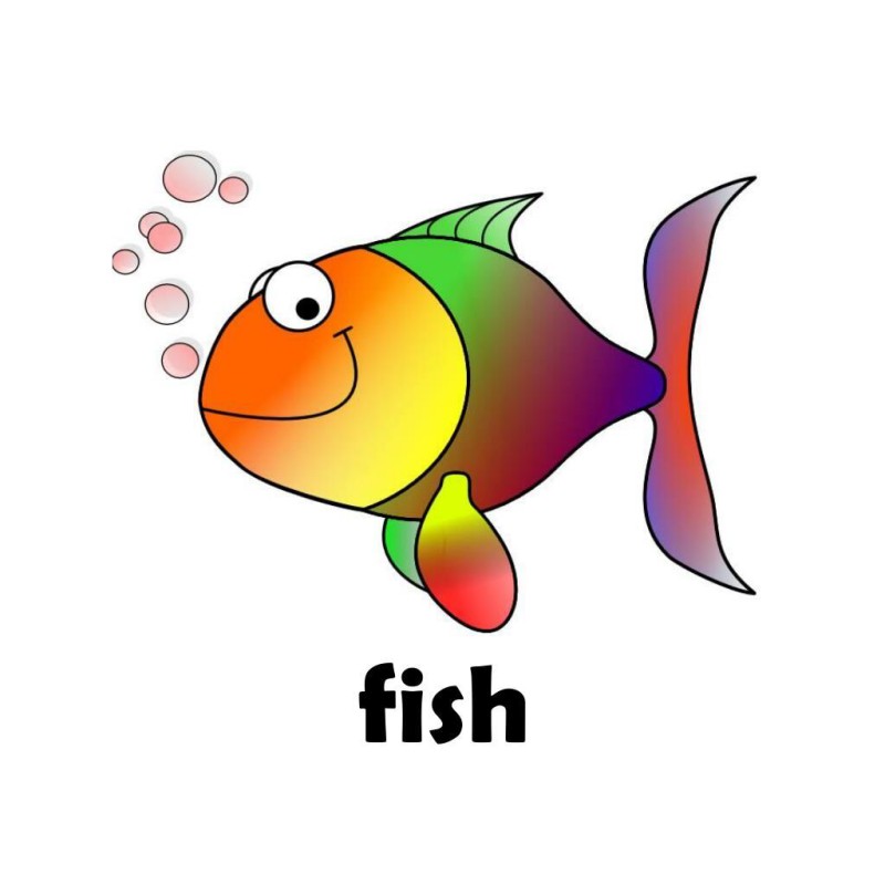 Picture of Fish Flash Card for Kids Early Learning 24 Cards Multicolor 