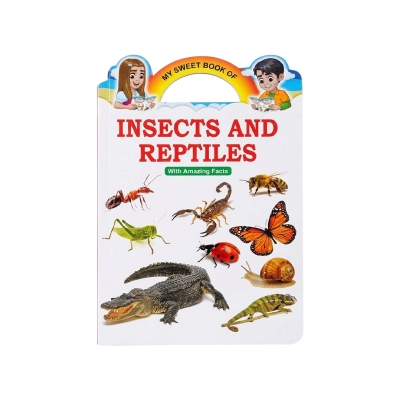 Picture of Kid's Learning Book (4 set)- Vegetables, Insects, Birds, General Knowledge - Age 3+ Years Multicolor 