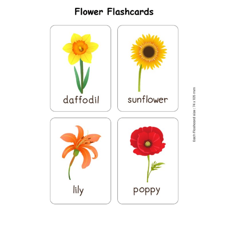 Picture of Flash Cards Flowers  for Kids Early Learning | Easy & Fun Way of Early Learning (3+ Years) Multicolor 