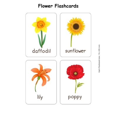 Picture of Flash Cards Flowers  for Kids Early Learning | Easy & Fun Way of Early Learning (3+ Years) Multicolor 