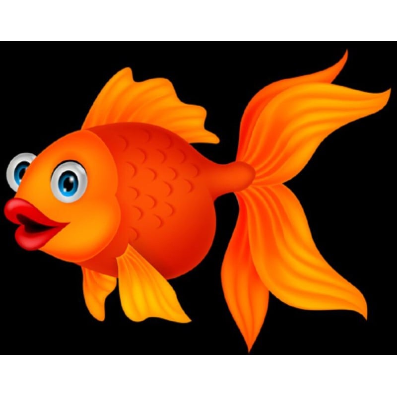 Picture of Fish Flash Card for Kids Early Learning 24 Cards Multicolor 
