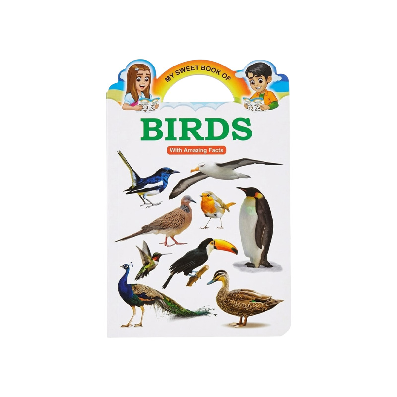 Picture of Kid's Learning Book (4 set)- Vegetables, Insects, Birds, General Knowledge - Age 3+ Years Multicolor 