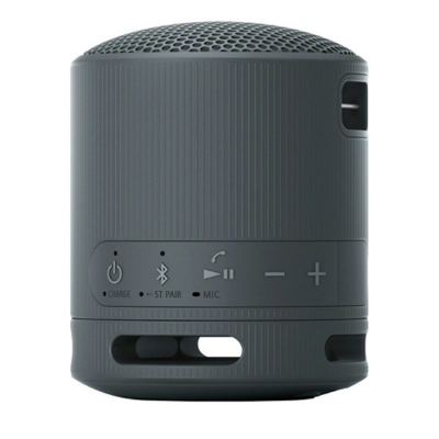 Picture of Sony Portable Wireless Speaker, SRS-XB100