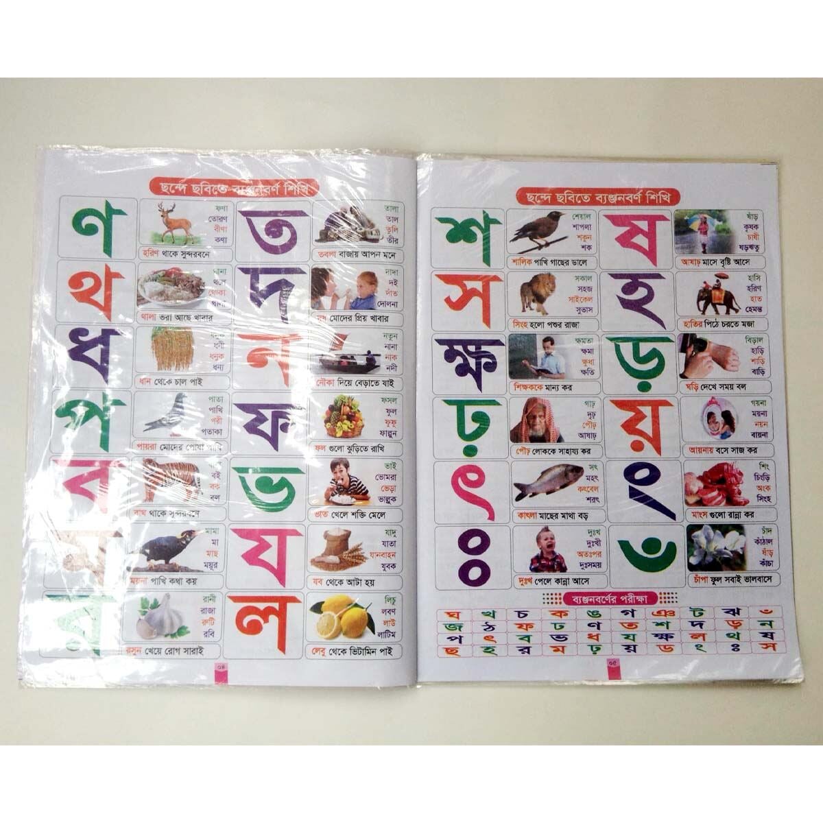 Picture of Book of Poly Wrapped Paper Motu Patlu's Adorsholipi All in One Kids Learning for Children like Baby Toys