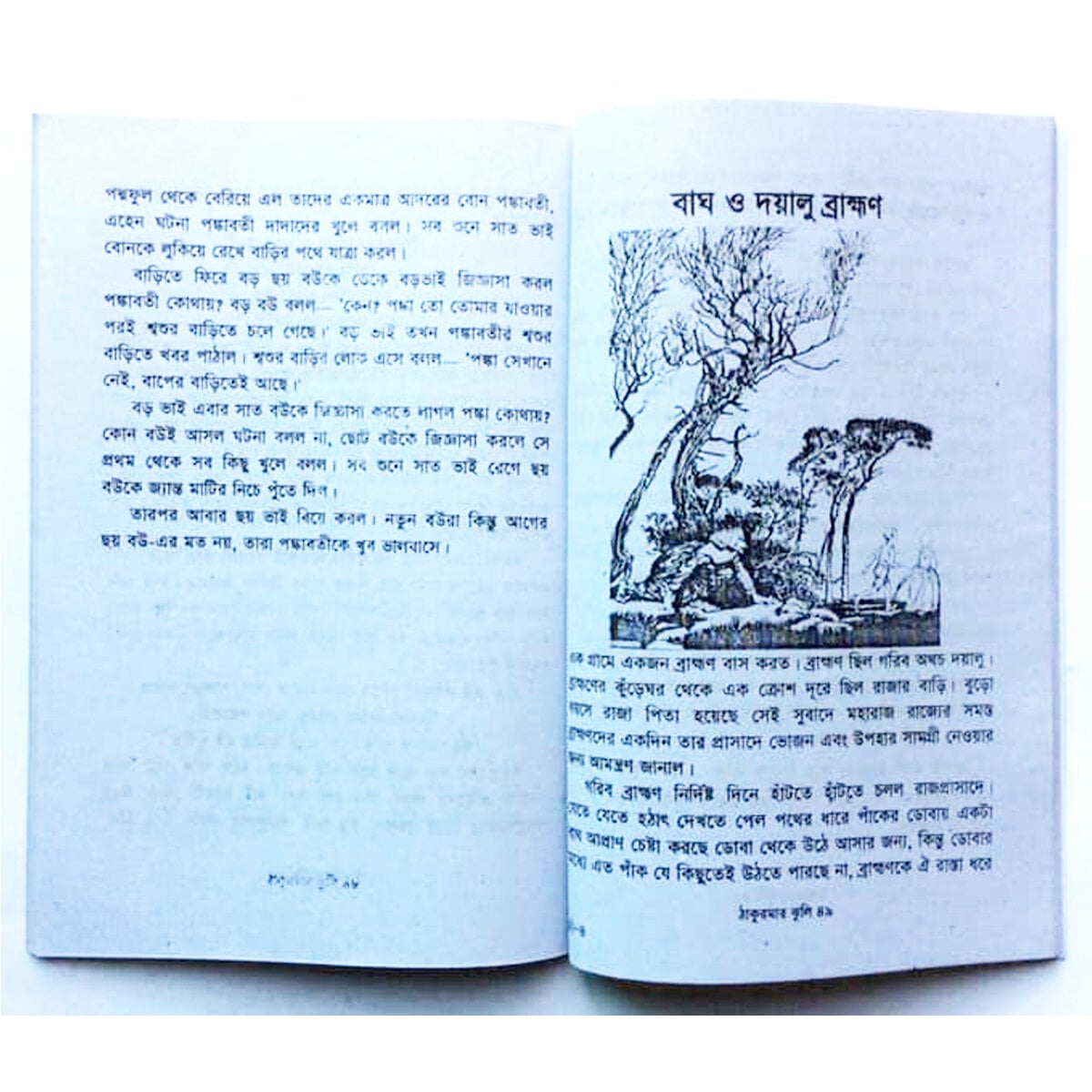 Picture of 3 PCS World Wide Popular Story Book Esop Thakur Mar Jhuli and Kalidah Pondit’s Glok Dhadha Fables Tagore Kids Learning for Baby Sonamonider instructive ThakurMa Kalidah Aesop Bhaẏonkor Vut Petnir Golper boi Easily Children Creative Entertainment