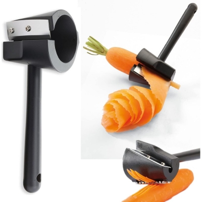 Picture of Spiral Funnel-Flower Roller Carrot