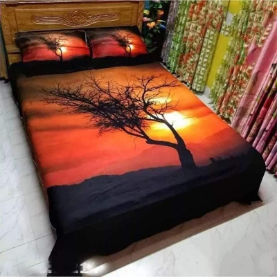 Picture of Double Size Cottont Bed Sheet with Matching 2 Pillow Covers Multicolor