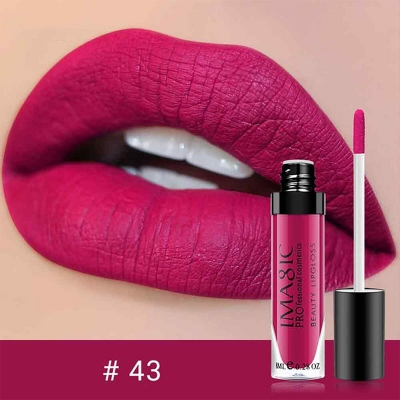 Picture of Imagic Waterproof Matte Liquid Lipstick shade-43 