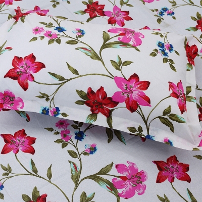 Picture of Double Size Flat Cotton Multicolor Bed Sheet Set - Two Pillow Covers Included Easy Maintenance - 300 Thread Count- Hand Washable Multicolor