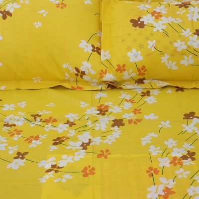 Picture of Double Size Flat Cotton Multicolor Bed Sheet Set - Two Pillow Covers Included Easy Maintenance - 300 Thread Count- Hand Washable Multicolor