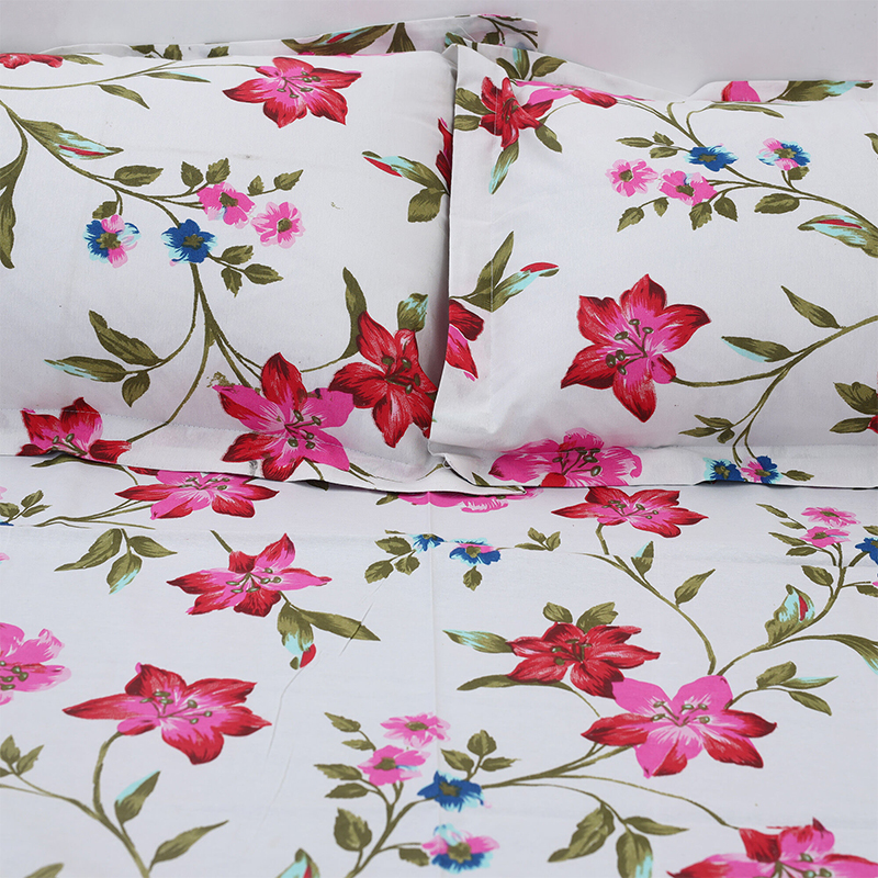 Picture of Double Size Flat Cotton Multicolor Bed Sheet Set - Two Pillow Covers Included Easy Maintenance - 300 Thread Count- Hand Washable Multicolor