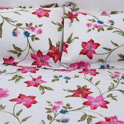 Picture of Double Size Flat Cotton Multicolor Bed Sheet Set - Two Pillow Covers Included Easy Maintenance - 300 Thread Count- Hand Washable Multicolor