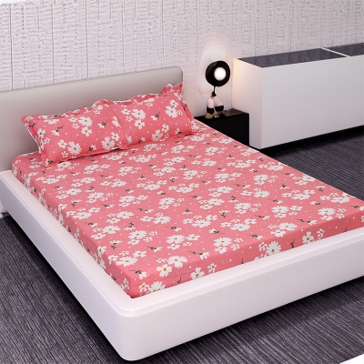 Picture of Double Size Flat Cotton Multicolor Bed Sheet Set - Two Pillow Covers Included Easy Maintenance - 300 Thread Count- Hand Washable Multicolor