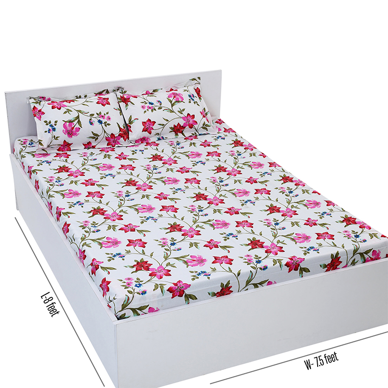 Picture of Double Size Flat Cotton Multicolor Bed Sheet Set - Two Pillow Covers Included Easy Maintenance - 300 Thread Count- Hand Washable Multicolor