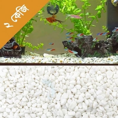 Picture of Decoration Stone for Aquarium or Flower Vase - ২.KG  2kg