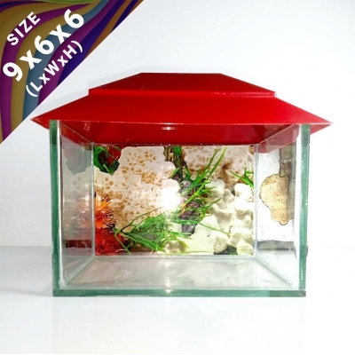 Picture of 9x6x6 Inches Deshi Glass Made Multi Color Small Aquarium For Aquarium Fish Culture (Size 9 Inch) 2.5 kg