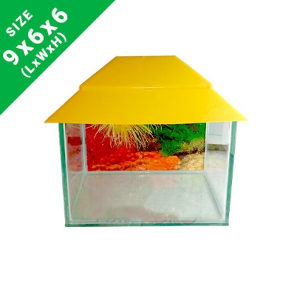 Picture of Protki Agro Farm High-Quality 9x6x6 inch Small Fish Tank for Aquarium Enthusiasts 2.5 kg Yellow