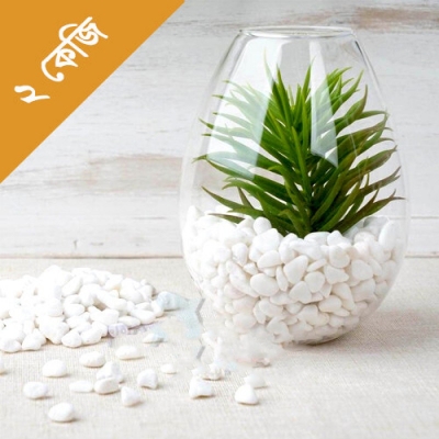 Picture of Decoration Stone for Aquarium or Flower Vase - ২.KG  2kg