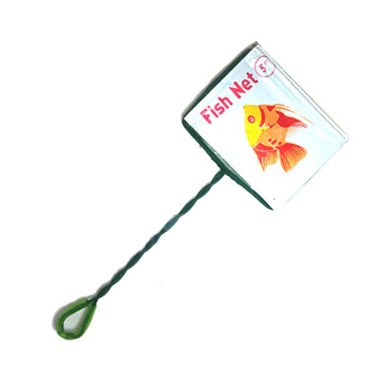Picture of Fish Tank Net Plastic Aquarium fish Transferring net 5 inch 100 gm Green