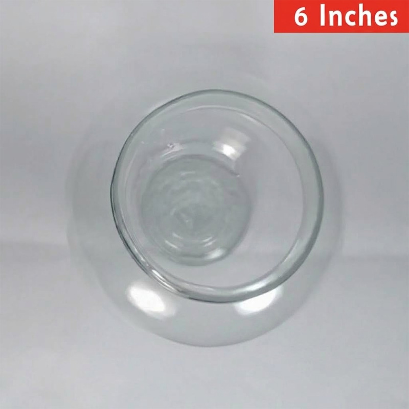 Picture of Fish Jar Transparent Aquarium | Fish Glass Bowl or Jar (6 inch BANGLADESHI Jar) 1 kg 