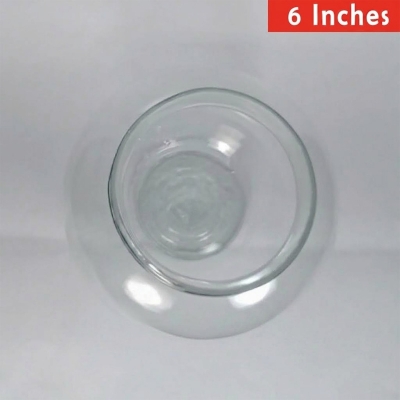 Picture of Fish Jar Transparent Aquarium | Fish Glass Bowl or Jar (6 inch BANGLADESHI Jar) 1 kg 