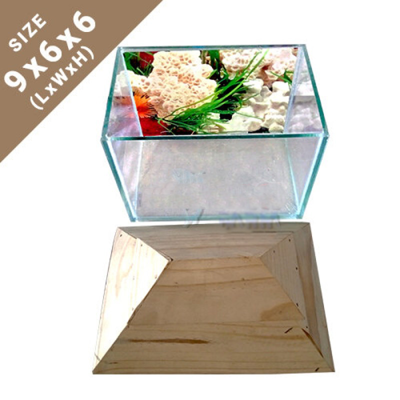 Picture of Protik Agro Farm Elegant Mini Fish Tank 9x6x6 Inch with Wooden Lid for Aquariums 2.5 kg Off White