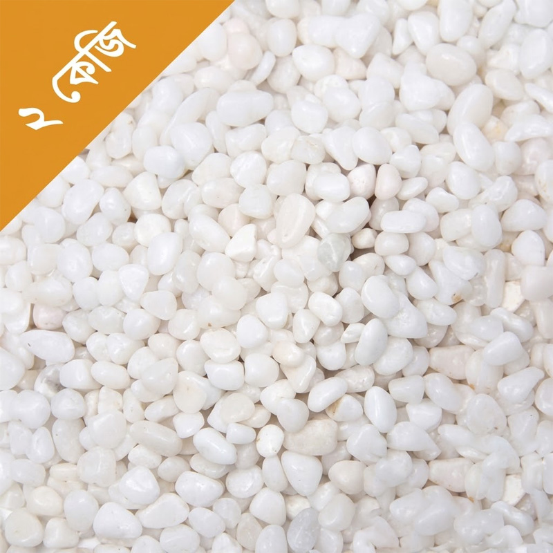 Picture of Decoration Stone for Aquarium or Flower Vase - ২.KG  2kg