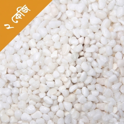 Picture of Decoration Stone for Aquarium or Flower Vase - ২.KG  2kg