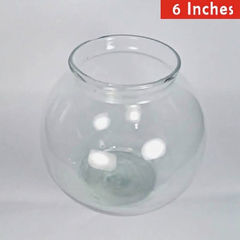 Picture of Fish Jar Transparent Aquarium | Fish Glass Bowl or Jar (6 inch BANGLADESHI Jar) 1 kg 