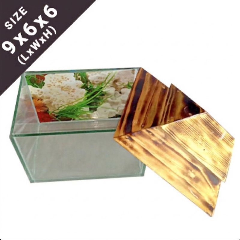 Picture of Premium Square Glass Aquarium 9x6x6 Inch for Small Fish - New and Elegant Fish Tank 2.5 kg Brown