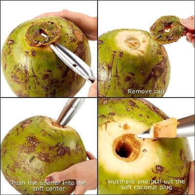 Picture of CETLO Stainless Steel Coconut Opener & Driller Tool – Portable Manual Coconut Knife for Easy Opening of Young Coconuts | Kitchen Gadget for Coconut Water & Peeling - The Asia Express-Silver