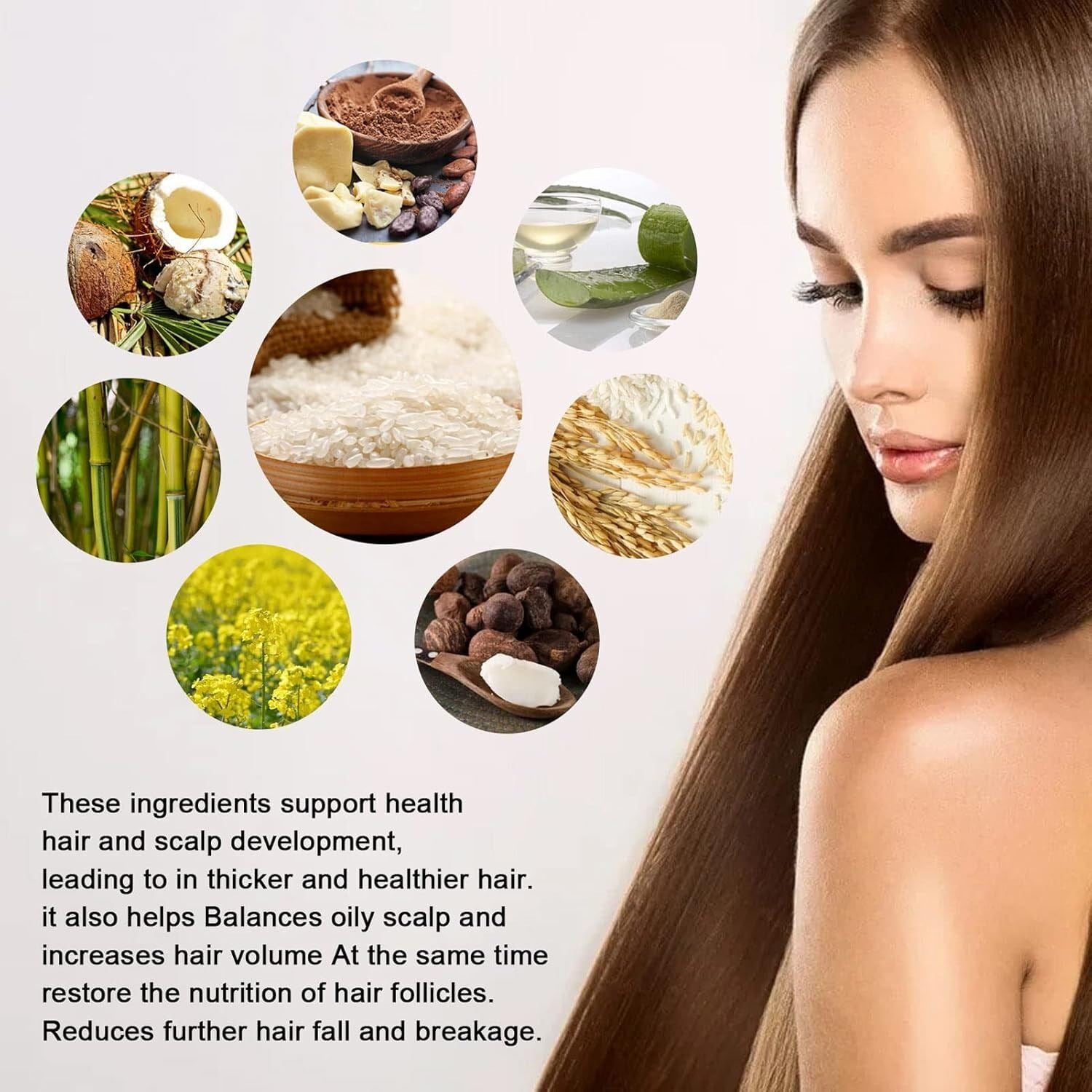 Picture of Rice Water Hair Care Shampoo 100ml – Anti Hair Fall, Hair Growth & Dandruff Removal Shampoo | Thickening, Moisturizing & Repair Formula for Dry, Damaged & Frizzy Hair - The Asia Express