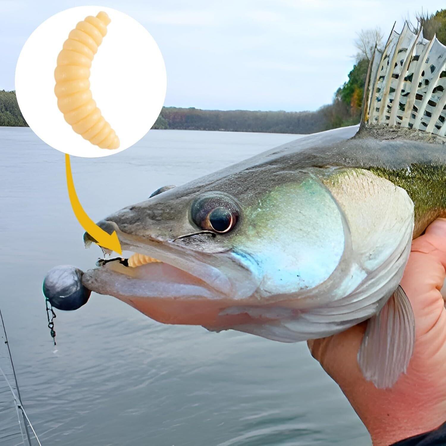 Picture of Premium 12 PCS Soft Maggot Fishing Bait Set – Realistic Artificial Wax Worm & Bread Worm Lures with Hooks for Bass, Carp, Crucian, Bream, Freshwater & Ice Fishing - The Asia Express
