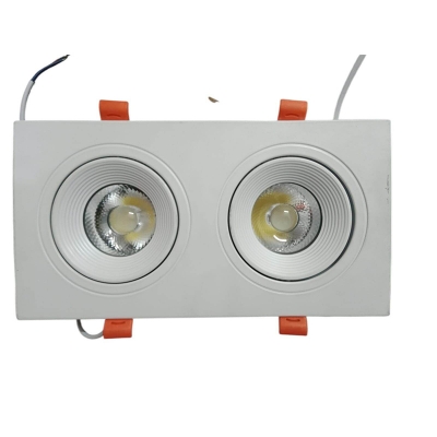 Picture of LED SPOT LIGHT 2X10W WHITH BODY,DAY LIGHT,PRC-White
