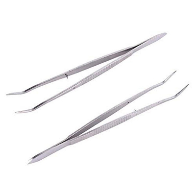 Picture of Generic Dentistry Tool Dental Plier Stainless Steel Dental Tweezer Forcep Teeth Clean Tools Professional Dentistry Instrument Hygiene - Int: One size