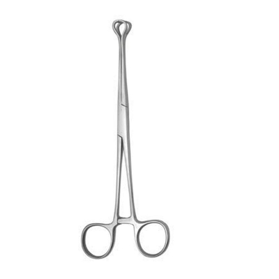 Picture of Stainless Steel Tissue/Organ/Gland Holding Forceps- Babcock Tissue Forcep- 16 cm - Silver - Int: One size