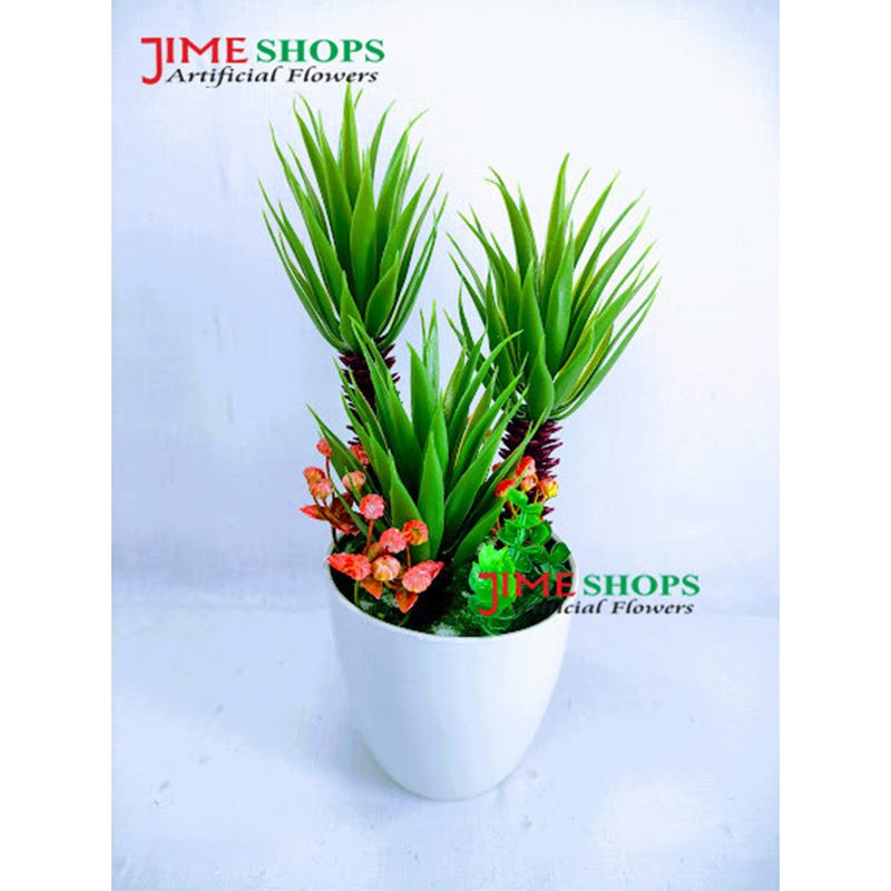 Picture of Artificial Cactus Flower & Plant Cactus combo for Home, office or restaurant - Home Decoration Item (3 Cactus White Tob)