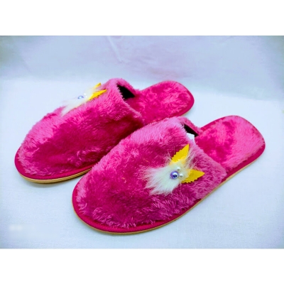 Picture of Winter Home Sandal, winter slipper, House Slippers (Light Pink,EU:37)