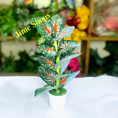 Picture of Artificial Leaves & Plant 9inc In plastic Pot For Office Decoration,jime shops flowers (Patabahar)