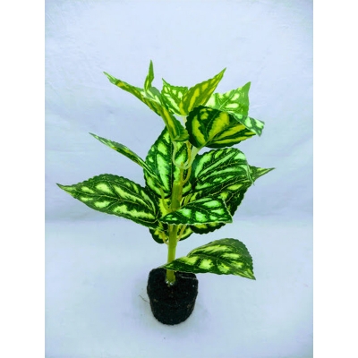 Picture of Artificial Leaves & Plant 9inc In plastic Pot For Office Decoration,jime shops flowers (Patabahar 2)