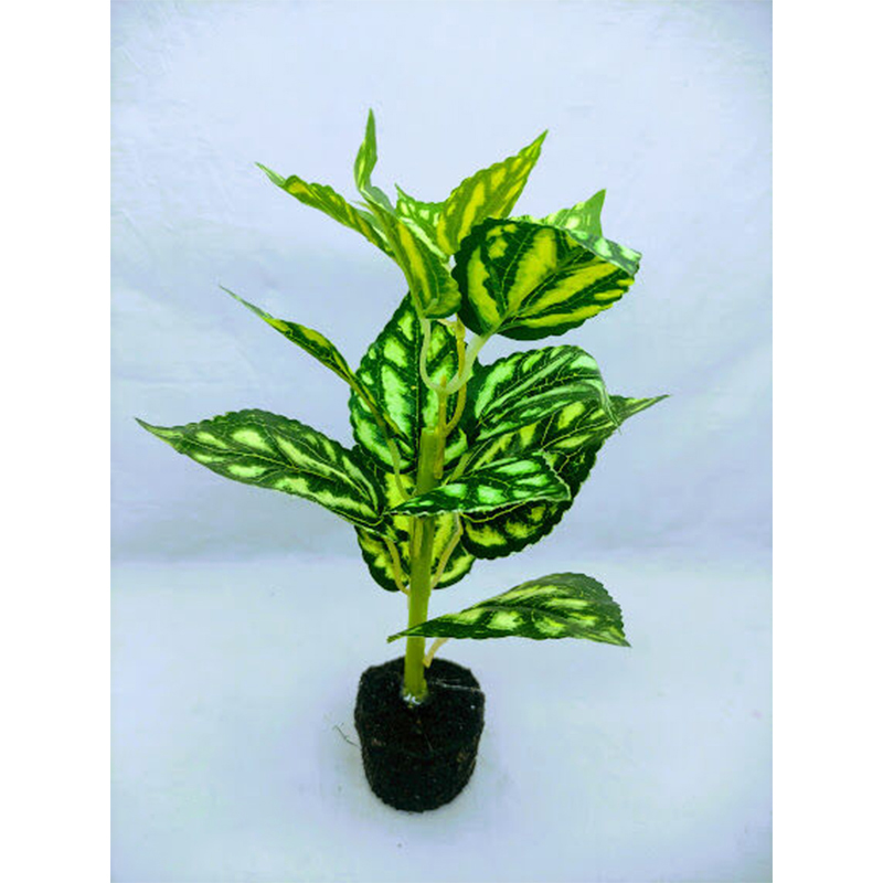 Picture of Artificial Leaves & Plant 9inc In plastic Pot For Office Decoration,jime shops flowers (Patabahar 2)