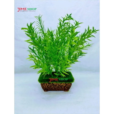 Picture of Artificial Grass Plant In wooden tob- Home Decoration Item (Small Leaves Grass)