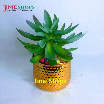 Picture of Artificial Cactus In Plastic Or Different Ceramic Pot For Any Kind Of Decoration, Jime Shops Flower - Home Decoration Item - Home Decoration Item - artificial flower (Cactus 5 Plastic tob)